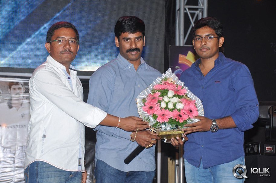 Pawanism-Movie-Audio-Launch